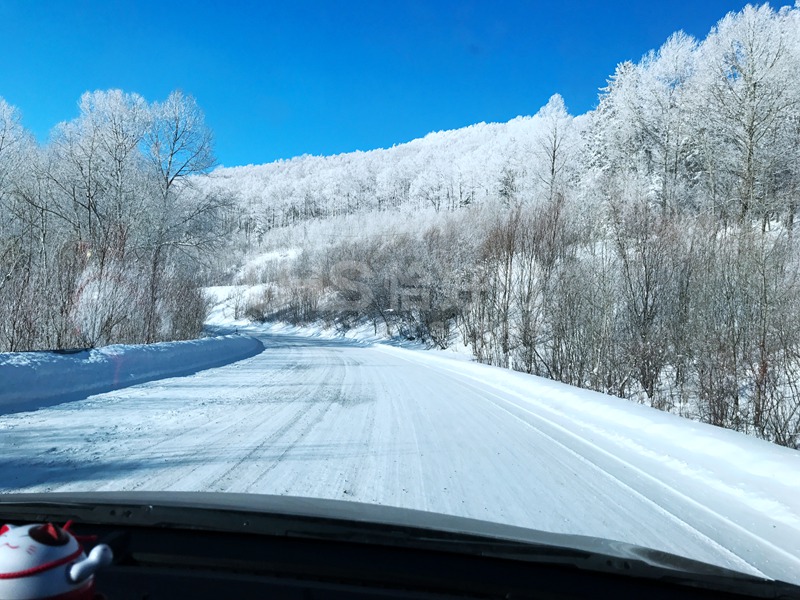 2018年的第一場雪，在北國雪山的恰好時綠卻生機(jī)盎然！